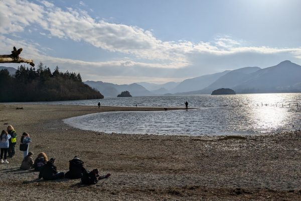 thumbnail_PXL_20250306_143728453