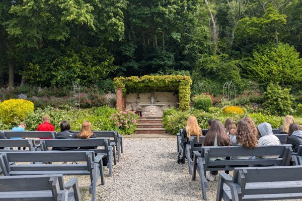 thumbnail_PXL_20250612_093156667